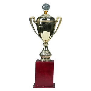 Award 7