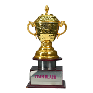 Award 6