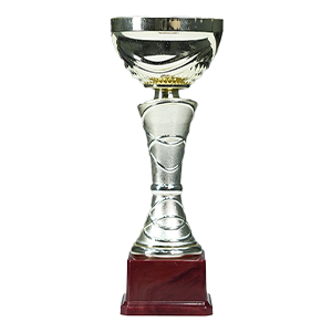 Award 8