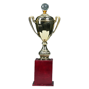 Award 7