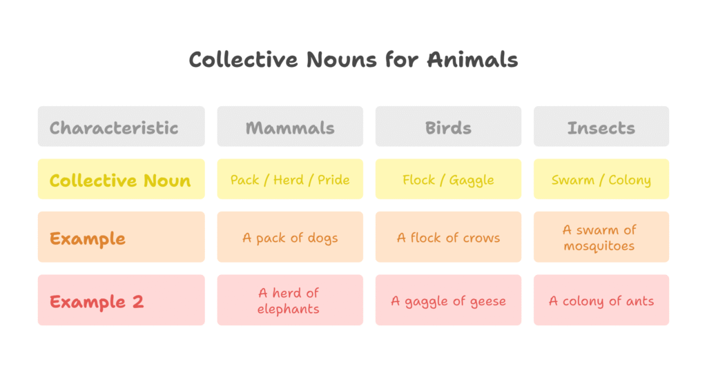 Common ways to address Collective Noun for Animals visual selection Collective Nouns Definition & Example